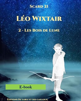 Couverture Léo Wixtair T2 Ebook