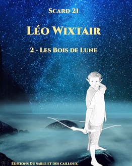 Couverture Léo Wixtair T2